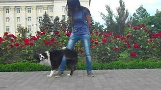 Девушка дрессирует собаку - смотреть видео (2:00)