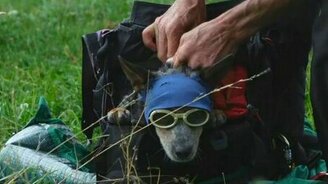 Как непросто быть другом экстремалов - смотреть видео (2:41)