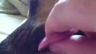 Насколько крепко спит пёс - смотреть видео (0:59)