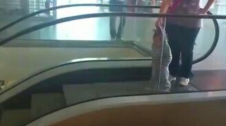 Выгуливает ребёнка - смотреть видео (0:22)