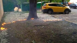 Поджигаем тополиный пух - смотреть видео (0:47)