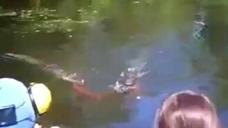 Мужик купается с крокодилами - смотреть видео (1:05)