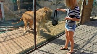 Лёва играет с сумкой - смотреть видео (2:36)