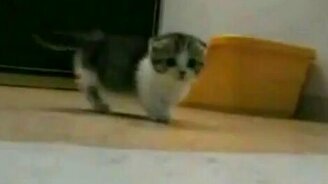 Шотландское чудо - смотреть видео (1:32)