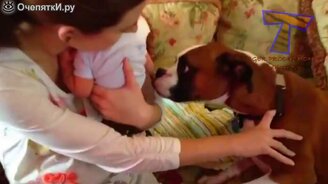 Кошки, собаки и маленькие детишки - смотреть видео (3:05)