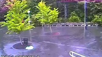 Удар молнии в дерево - смотреть видео (0:30)