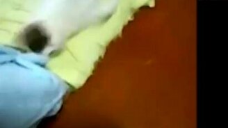 Кошмарный сон кота - смотреть видео (0:18)