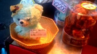 Медведь-повторюшка и японка - смотреть видео (2:22)