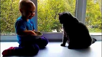 Девочка кормит кота - смотреть видео (1:15)