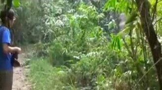 Фотограф против слона - смотреть видео (0:52)