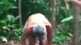 Пожилой дереволаз - смотреть видео (2:03)