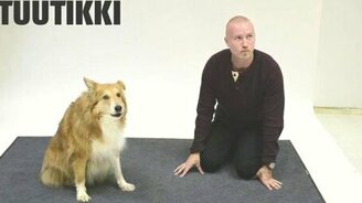 Беседа с псами на собачьем языке - смотреть видео (1:52)