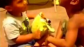 Не смейся над этим! - смотреть видео (0:05)