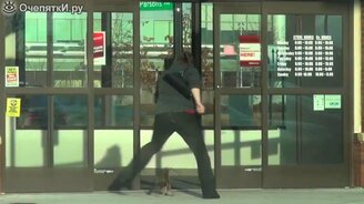 Змея из сумки - смотреть видео (1:43)