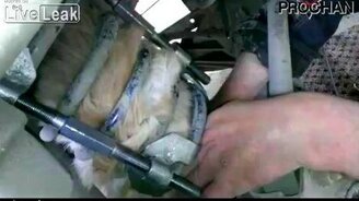 Высвободили котёнка из пружины - смотреть видео (8:15)