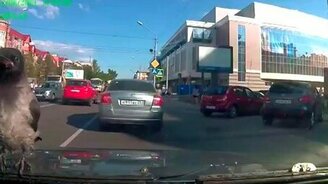 Ворона на лобовом стекле - смотреть видео (2:30)