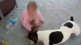 Собака, ребёнок и пищалка - смотреть видео (1:20)