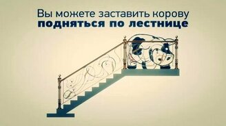 Любопытные факты в подборке - смотреть видео (2:37)