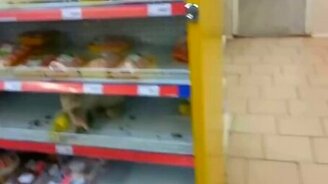 Кошка в супермаркете - смотреть видео (0:18)
