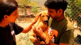 Щенок в колодце и его спаситель - смотреть видео (3:18)