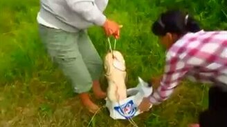 Отличный женский улов - смотреть видео (0:32)