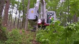 Современный лесоруб - смотреть видео (2:58)