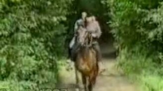 Видео курьезы - смотреть видео (2:08)