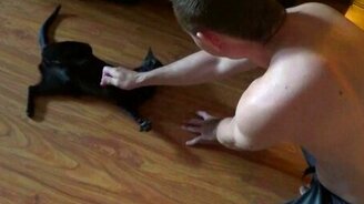 Дрессированная кошка - смотреть видео (0:50)