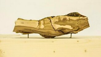 Срезая слой за слоем... - смотреть видео (2:29)