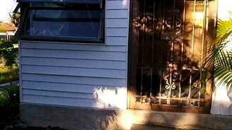 Осы оккупировали дом - смотреть видео (3:33)