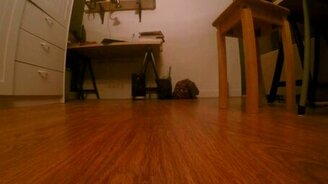 Внезапный котёнок - смотреть видео (0:09)