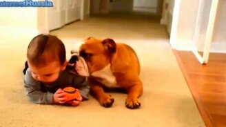 Забавные животные и детишки - смотреть видео (7:47)