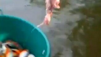 Рыбалка на мясо без удочки - смотреть видео (1:03)