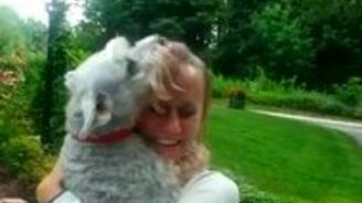 Собака падает в обморок от счастья - смотреть видео (1:43)