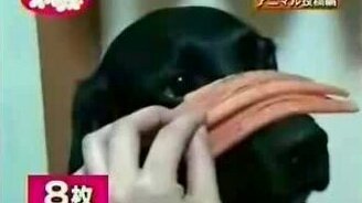 Железная воля - смотреть видео (1:50)