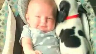 Тёпленькое местечко возле малыша - смотреть видео (0:15)