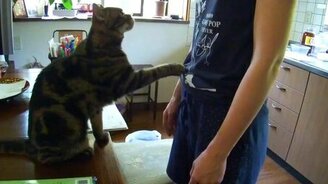 Погладь меня - смотреть видео (1:04)