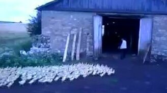 Быстро все домой! - смотреть видео (1:06)