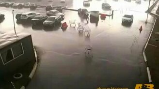 Нашествие тележек - смотреть видео (0:37)