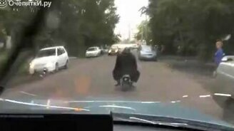 Снежный человек на мопеде - смотреть видео (1:30)