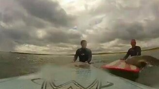 Сёрфер и смелый тюлень - смотреть видео (2:07)