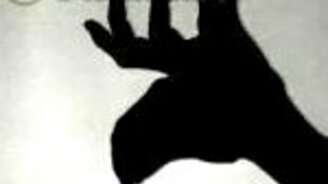 Невероятная игра теней - смотреть видео (0:38)