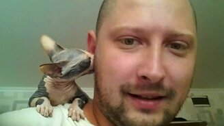 Забавный лысый котёнок - смотреть видео (2:14)