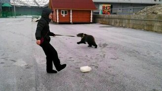 Чисто русская собака - смотреть видео (0:48)