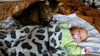 Кошка укладывает спать малыша - смотреть видео (1:07)