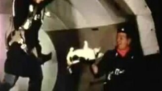 Коты в невесомости - смотреть видео (0:28)