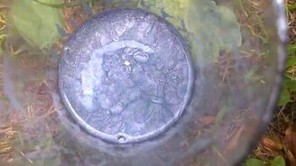 Серебрянка плюс бензин... - смотреть видео (0:23)