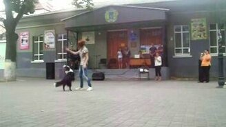 Концерт с умной собакой - смотреть видео (2:06)