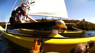 Спасение белки из воды - смотреть видео (4:06)