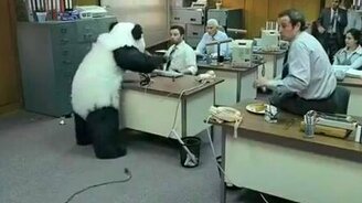 Никогда не говори НЕТ - смотреть видео (2:46)